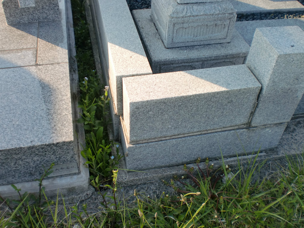江口家１ (2).jpg